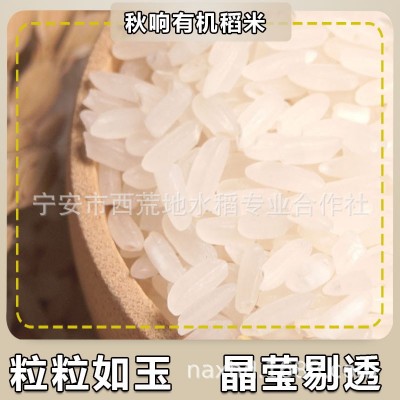 CBA球员代言绿色有机稻花香镜泊湖石板鸭稻米新米厂家直发