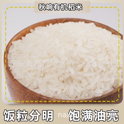 CBA球员代言绿色有机稻花香镜泊湖石板鸭稻米新米厂家直发图3