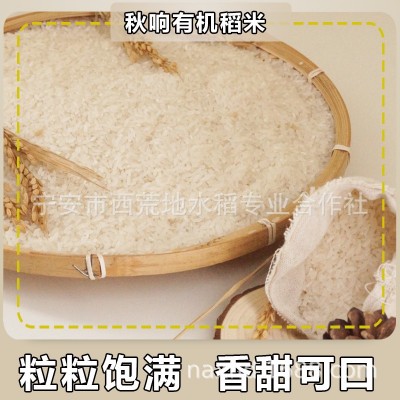 CBA球员代言绿色有机稻花香镜泊湖石板鸭稻米新米厂家直发图5