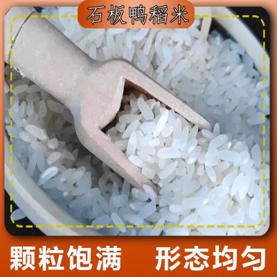 新米珍珠香秋响镜泊湖石板大米绿色5斤家庭实惠装散装图2