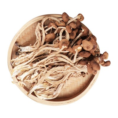 正胜茶树菇干货福建农场品煲汤菌菇250g 厂家现货批发 菌菇干货图5