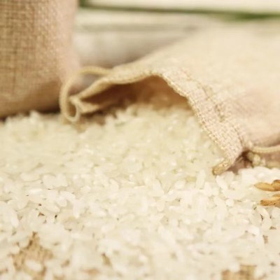 厂家供应五常大米真空包装新米东北大米5kg10斤稻花香五常大米图4