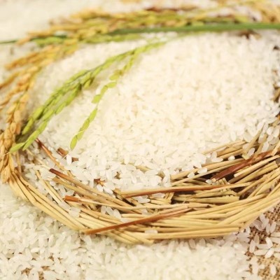 厂家供应五常大米真空包装新米东北大米5kg10斤稻花香五常大米图3