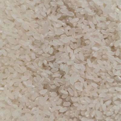 东北五常长粒香米 东北大米真空包装5斤五常长粒香米厂家批发图4