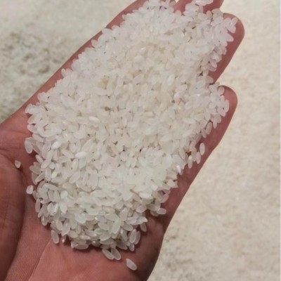 东北五常长粒香米 东北大米真空包装5斤五常长粒香米厂家批发图3