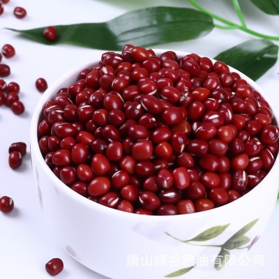 三顷粮 红小豆 五谷杂粮 小红豆 粗糙粮 400克真空装 豆类图2