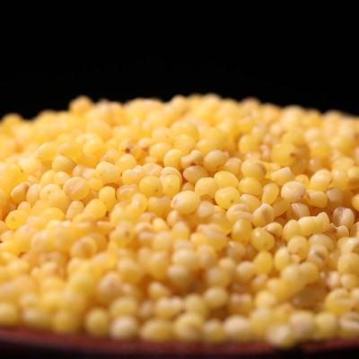 燕之坊五谷杂粮黄小米山西沁州黄小米 贡米小米五谷杂粮粥米批发图3