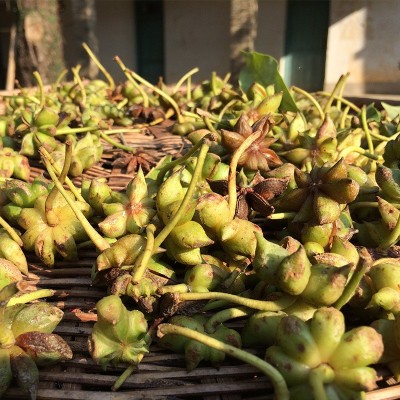 香辛料八角桂皮卤料香料工甄选八角半八角桂皮广西桂皮八角250克图4