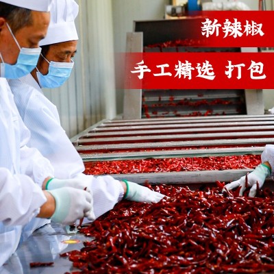 贵州辣椒满天星特辣产印度魔鬼批发遵义辣椒面干辣椒香辣朝天椒图3