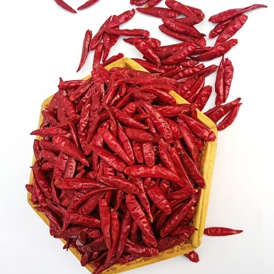 河南新一代干辣椒朝天椒三樱椒大量批发火锅底料厂家现货直销图4