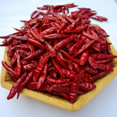 厂家大量现货正宗河南新一代辣椒微辣特香提香提香干辣椒段图5