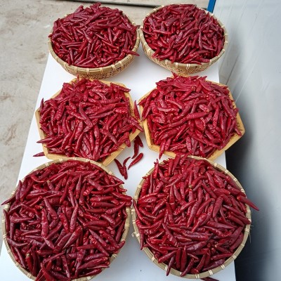 内黄新一代干辣椒大量批发重庆火锅专用特辣香朝天椒厂家现货直销图3