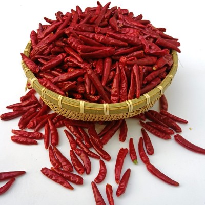 内黄新一代干辣椒大量批发重庆火锅专用特辣香朝天椒厂家现货直销图2