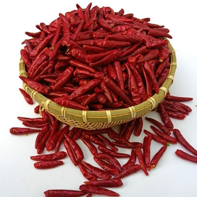 内黄新一代干辣椒大量批发重庆火锅专用特辣香朝天椒厂家现货直销图5