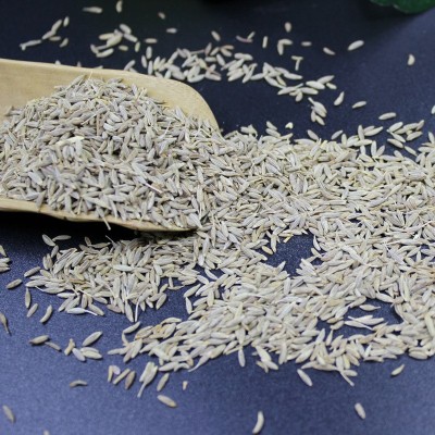 孜然烧烤肉串孜然粉孜然碎散装调料香料新疆孜然大量批发500克图2