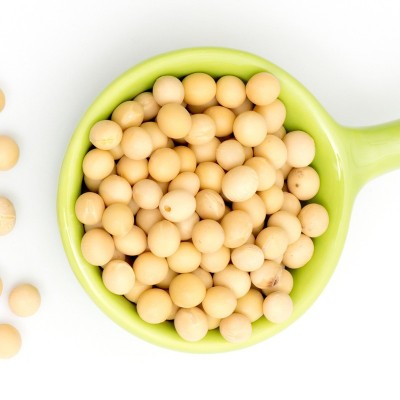 批发发芽小黄豆 厂家销售五谷杂粮原料散装图2