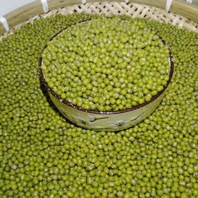 绿豆东北绿豆绿豆绿豆粥批发厂家批发图5