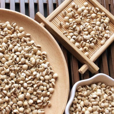 熟小薏米 五谷杂粮 批发 大货批发 低温烘焙 小薏米图4