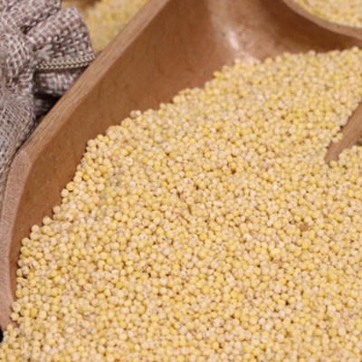 厂家批发小米 五谷杂粮现磨坊粉原料食材 大货批发低温烘焙熟小米图3