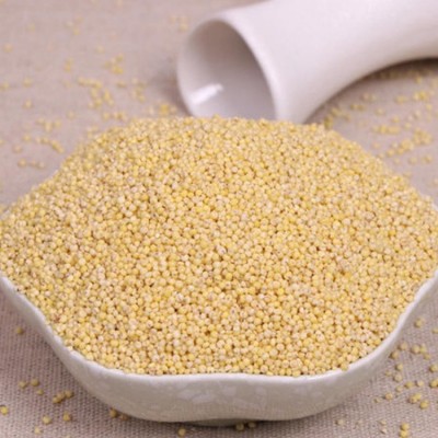 厂家批发小米 五谷杂粮现磨坊粉原料食材 大货批发低温烘焙熟小米图2