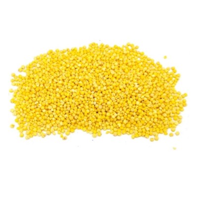 厂家批发小米 五谷杂粮现磨坊粉原料食材 大货批发低温烘焙熟小米图5