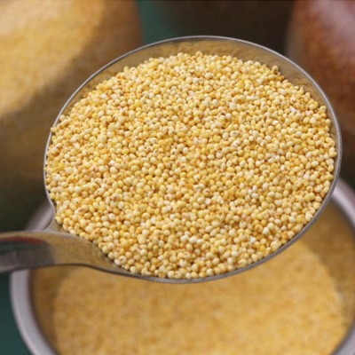 厂家批发小米 五谷杂粮现磨坊粉原料食材 大货批发低温烘焙熟小米图4