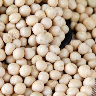 厂家供应 低温烘焙五谷杂粮现磨坊打豆浆包粉用原料 批发熟白豌豆图5