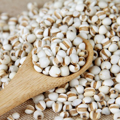 批发低温烘焙五谷杂粮贵州新货磨坊代餐粉用炒薏苡仁米熟小薏米图2