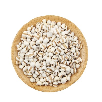 批发低温烘焙五谷杂粮贵州新货磨坊代餐粉用炒薏苡仁米熟小薏米图4