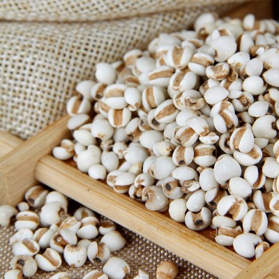 批发低温烘焙五谷杂粮贵州新货磨坊代餐粉用炒薏苡仁米熟小薏米图3