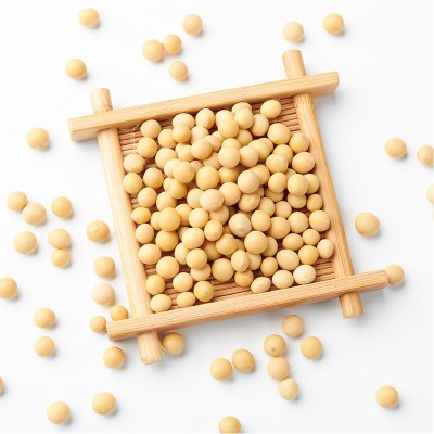 农家新货 烘焙大豆五谷杂粮 黄豆批发 现磨豆浆原料 包装散装图3