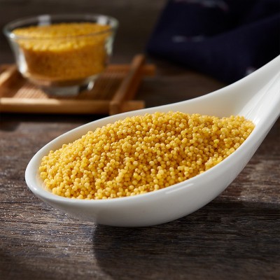 内蒙赤峰小米500g真空养生粥 月子粥 黄小米五谷杂粮一件代发图2