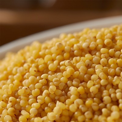 内蒙赤峰小米500g真空养生粥 月子粥 黄小米五谷杂粮一件代发图4