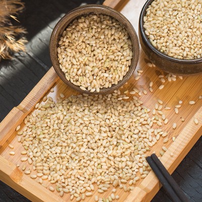 寨香发芽糙米500g东北新米糙米饭五谷杂粮粗粮健身小町发芽米图5