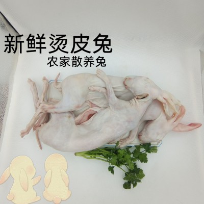 新鲜兔肉大号现杀冷冻生兔肉生鲜食用烧烤食材一只装图4
