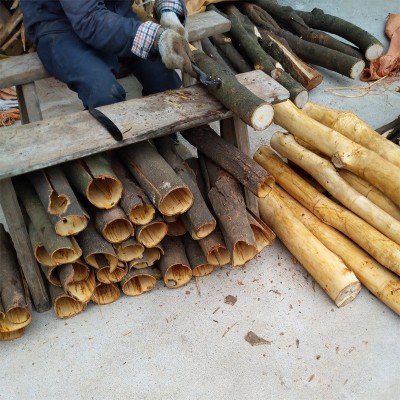 厂家批发刮皮肉桂大通 调料香料 去皮桂皮刮皮肉桂 量大价优图3