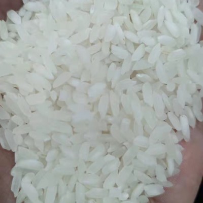 缅甸卡伊玛 卡依玛粉米 缅甸白米 缅甸粉米 进口粉米 硬质粉米图3