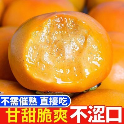 桂林巧克力脆柿子正宗新鲜水果当季冰糖心黄甜硬柿子整箱包邮图2