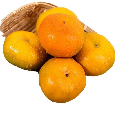 桂林巧克力脆柿子正宗新鲜水果当季冰糖心黄甜硬柿子整箱包邮图4