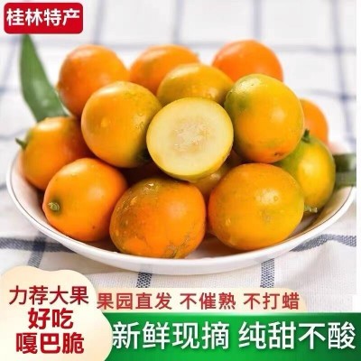 广西桂林脆皮金桔脆甜多汁产地直发新鲜当季应季新鲜水果图2
