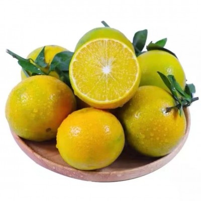 广西老树大果 9斤皇帝柑新鲜水果现摘橘子当季多汁水果整箱直销图5