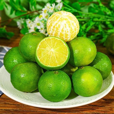 广西老树大果 9斤皇帝柑新鲜水果现摘橘子当季多汁水果整箱直销图4