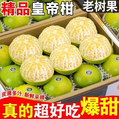 广西老树大果 9斤皇帝柑新鲜水果现摘橘子当季多汁水果整箱直销