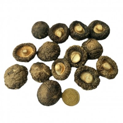 小香菇干货 产地批发剪根肉厚商用农家金钱菇 春栽香菇干蘑菇图5