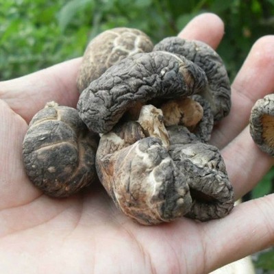 椴木干香菇煲汤食用菌 冬菇蘑菇饱满肉厚香茹干货火锅食材批发图2