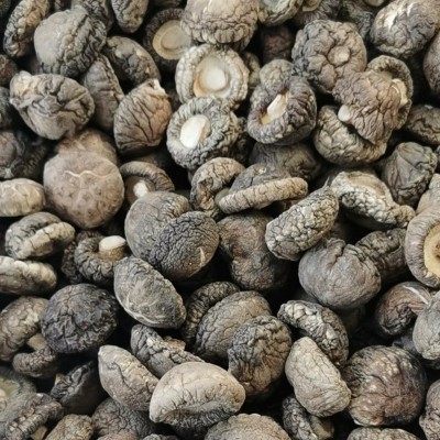 产地供应剪脚香菇干货批发 食用菌干菇肉厚香菇冬菇煲汤干货食材图2