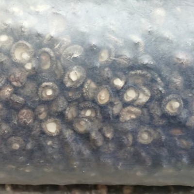 产地供应剪脚香菇干货批发 食用菌干菇肉厚香菇冬菇煲汤干货食材图4