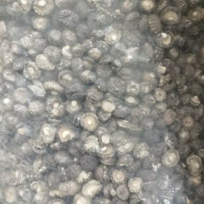 产地供应剪脚香菇干货批发 食用菌干菇肉厚香菇冬菇煲汤干货食材图5