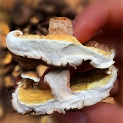 现货香菇冬菇剪脚菇小香菇干香菇批发 肉厚煲汤蘑菇食用菌干货图4