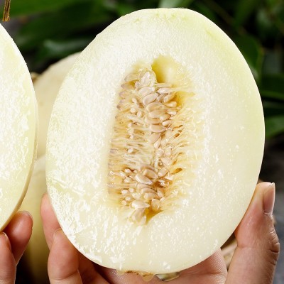 阎良甜瓜新鲜小籽蜜瓜水果头茬整箱香瓜现摘当季香甜2-4.5斤批发图2